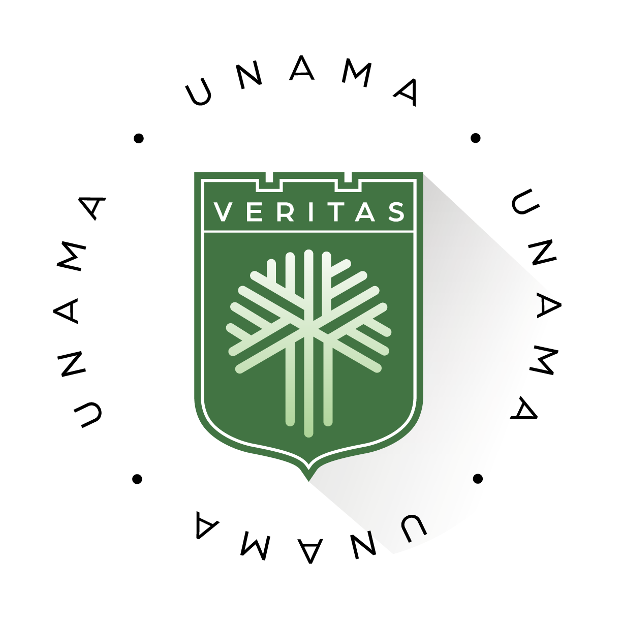 Instituição - UNAMA - Rio Branco